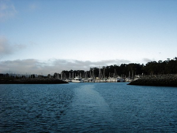 Coyote Harbor, San Mateo